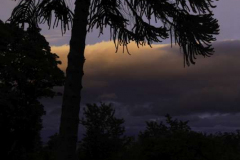 Calgower-House-SoU-27.08.2011_14