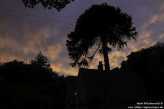 Calgower-House-SoU-27.08.2011_18