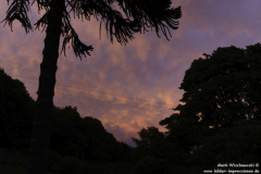 Calgower-House-SoU-27.08.2011_25