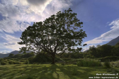 Castle-Moy-L.-Buie-05.07.2015_045-47HDR