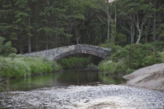 Castle-Saddell-13.07.2015_022