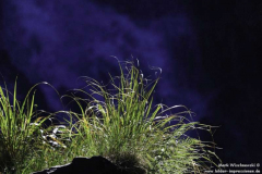 Clashnessie-14.08.2011_38