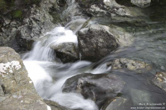 Cullins-23.06.2017_077