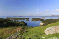 Drumbeg-23.07.2014_003
