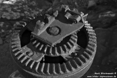 Enard-Bay-28.07.2016_052