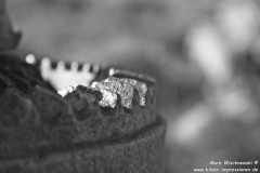 Enard-Bay-28.07.2016_055