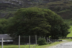 Eriboll-A-838-24.08.2011_06