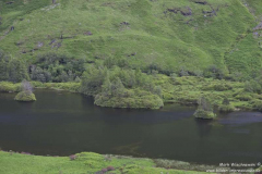 Glen-Etive-03.07.2017_007