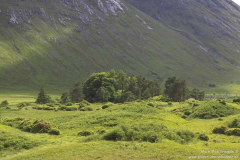 Glen-Etive-03.07.2017_041