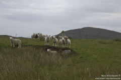 Gramisdale-29.06.2017_001