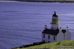 Holborn-Head-22.08.2011_16