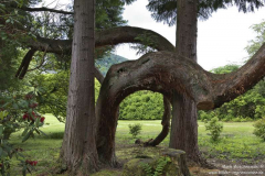 Inverary-Castle-06.07.0217_054