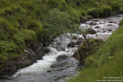 Lairig-Gartain-Glencoe-07.07.17_067