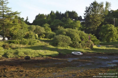 Leuchtt-Eilean-Sionnach-19.6.17_008