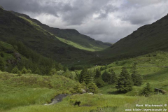 Loch-Lomond-Nat.-Park-18.07.15_004