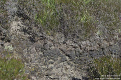 Loch-Portain-30.06.2017_008