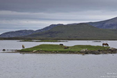 Loch-an-Lonaire-27.06.2017_002