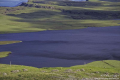 Old-Man-of-Storr-19.06.2017_079-HDR
