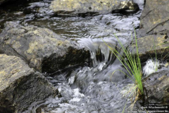 Port-Alltan-na-Bradhan-18.08.11_03