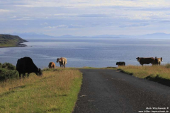 Port-Handerson-22.07.2014_002