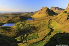 Quiraing-11.07.2014_051