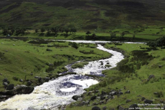 River-Helmsdale-29.08.2011_11