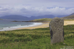 Single-Track-Harris-15.07.2014_006