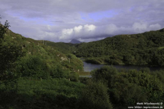 Singletrack-Stoer-15.08.2011_02