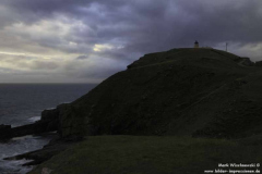 Steor-Head-13.08.2011_16