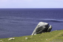 Strathy-Point-24.08.2011_28
