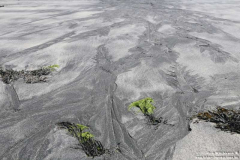 Talisker-Bay-09.07.2104_19