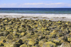 Talisker-Bay-09.07.2104_30