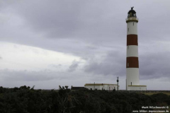 Tarbat-Ness-28.08.2011_03