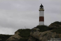 Tarbat-Ness-28.08.2011_12