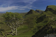 The-Quiraing-20.06.2017_063