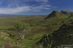 The-Quiraing-20.06.2017_070