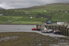 Uig-Hafen-24.06.2017_003