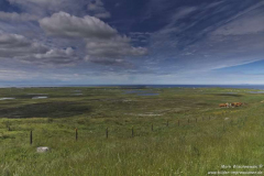 View-Point-St.-Kilda-28.06.2017_007
