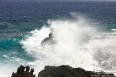 Faro-La-Salemera_105