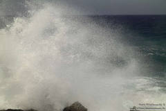 Faro-La-Salemera_271