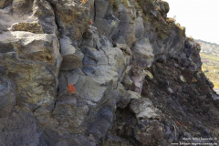 Faro-de-Fuencaliente-Saline_003