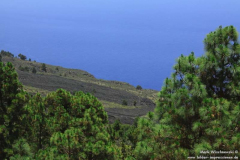 LP-2-El-Castillo-Fuencaliente_002
