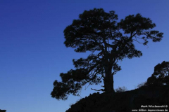 LP-2-Monte-de-Luna_003