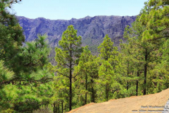 La-Cumbrecita_013