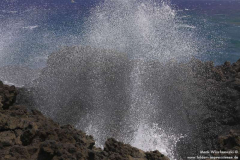Leuchti-Punta-de-la-Lava-31.07._060