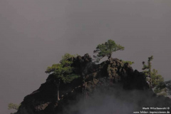 Mirador-de-los-Andenes_020