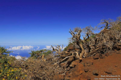 Pico-de-la-Cruz_003