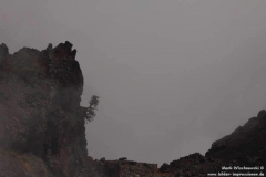 Pico-de-la-Cruz_048