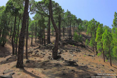 Picos-del-Risco-de-las-Cuevas_066