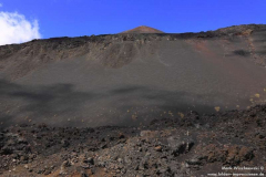 Punta-Cruesa_001